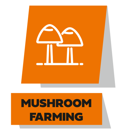 cold storage at mushroom farming