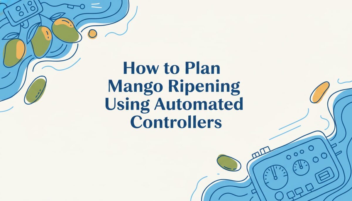 how to plan a ripening cycle for mangoes using automated controllers